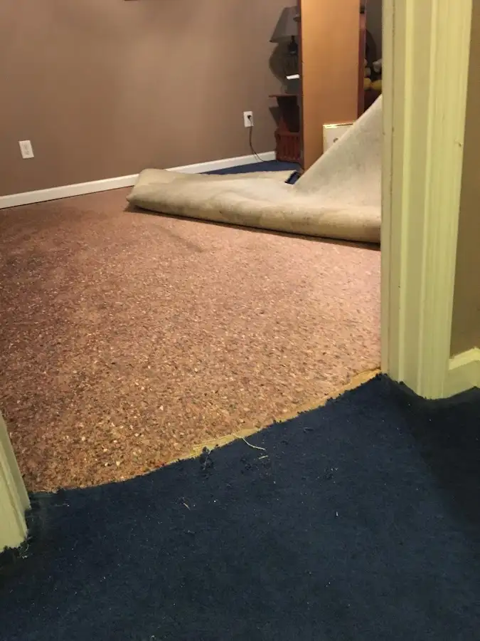 Carpet pad removal revealing water damage during Water Mitigation Services in Dowagiac
