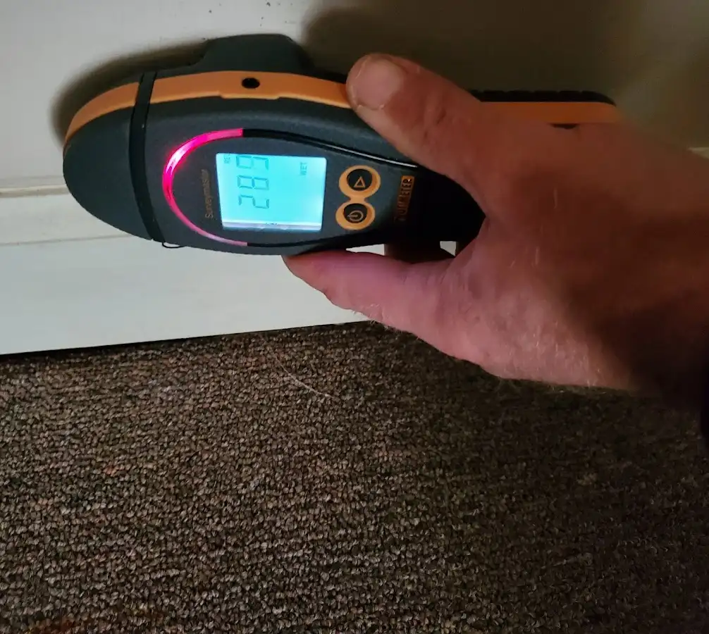 Moisture detection at baseboard during Sewage Cleanup & Sanitation in Dowagiac
